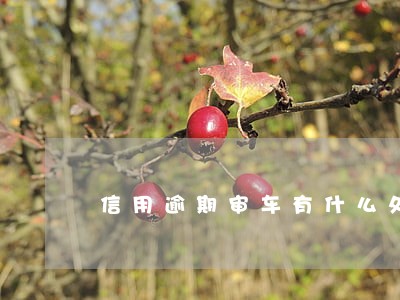 信用逾期审车有什么处罚 信用逾期审车有什么处罚
