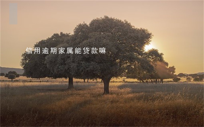 信用逾期家属能贷款嘛