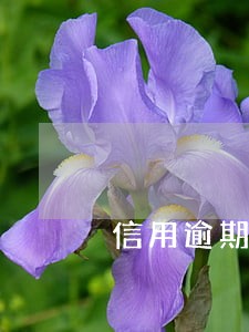信用逾期对房贷影响吗 信用逾期对房贷影响吗