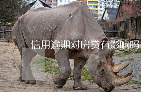 信用逾期对房贷有影响吗 信用逾期对房贷有影响吗