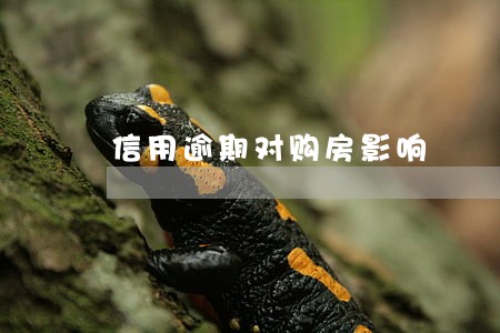 信用逾期对购房影响 信用逾期对购房影响