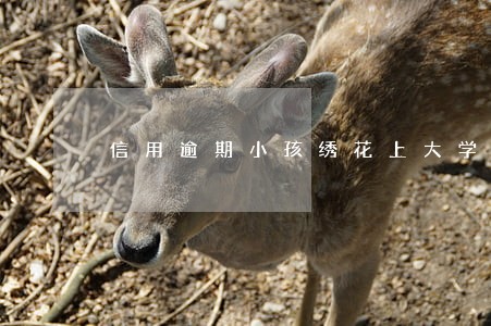 信用逾期小孩绣花上大学吗 信用逾期小孩绣花上大学吗