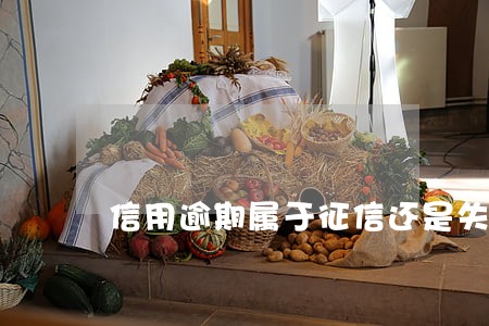 信用逾期属于征信还是失信 信用逾期属于征信还是失信