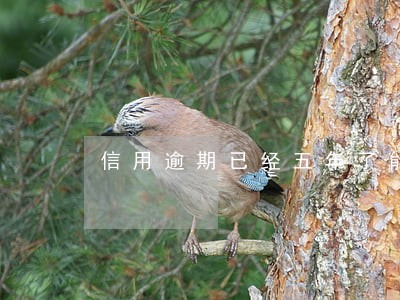 信用逾期已经五年了能消除吗