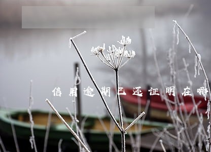 信用逾期已还证明在哪里打 信用逾期已还证明在哪里打