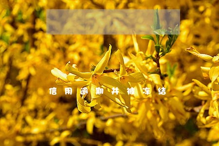 信用逾期并被冻结 信用逾期并被冻结