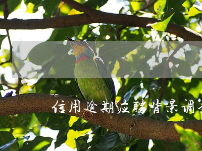 信用逾期应聘背景调查可以过吗 信用逾期应聘背景调查可以过吗