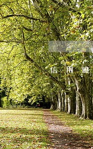 信用逾期庭审视频