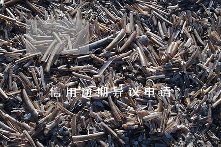 信用逾期异议申请 信用逾期异议申请