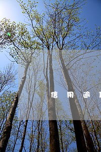 信用逾期强制上岸 信用逾期强制上岸