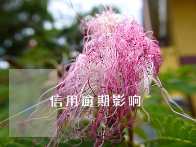 信用逾期影响 信用逾期影响