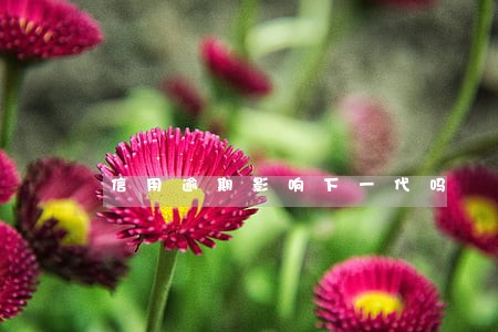 信用逾期影响下一代吗 信用逾期影响下一代吗