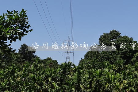信用逾期影响公务员政审吗 信用逾期影响公务员政审吗