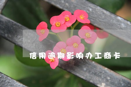 信用逾期影响办工商卡 信用逾期影响办工商卡