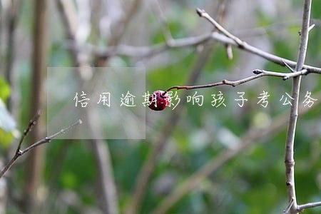 信用逾期影响孩子考公务员吗 信用逾期影响孩子考公务员吗