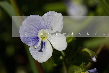 信用逾期影响考公务员么 信用逾期影响考公务员么