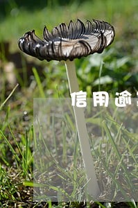 信用逾期影响还房贷吗 信用逾期影响还房贷吗