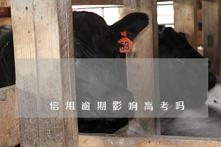 信用逾期影响高考吗 信用逾期影响高考吗