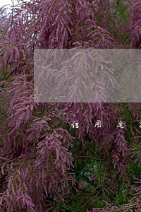 信用逾期征信几年 信用逾期征信几年