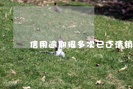 信用逾期很多次已还清销户 信用逾期很多次已还清销户