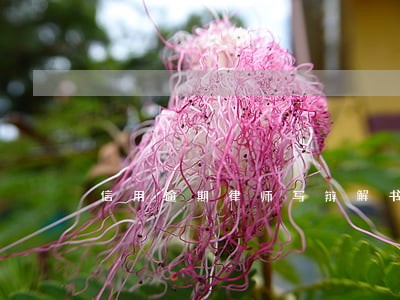 信用逾期律师写辩解书 信用逾期律师写辩解书