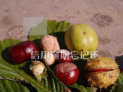 信用逾期忘记还 信用逾期忘记还