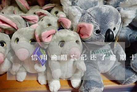 信用逾期忘记还了逾期十年 信用逾期忘记还了逾期十年