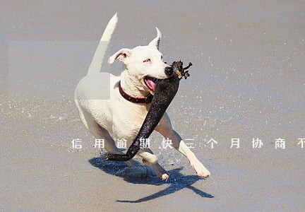 信用逾期快三个月协商不成怎么办