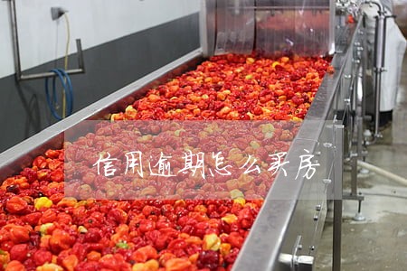 信用逾期怎么买房 信用逾期怎么买房