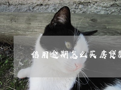 信用逾期怎么买房贷款买房