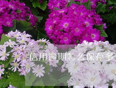 信用逾期怎么保存多久