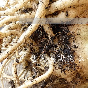 信用逾期怎么分期