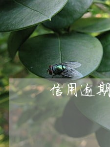 信用逾期怎么分期买车 信用逾期怎么分期买车