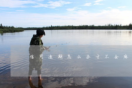 信用逾期怎么办才不会麻烦 信用逾期怎么办才不会麻烦