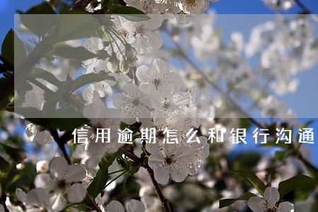 信用逾期怎么和银行沟通 信用逾期怎么和银行沟通
