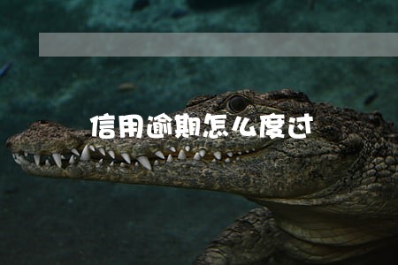 信用逾期怎么度过 信用逾期怎么度过