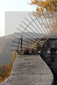 信用逾期怎么扣费 信用逾期怎么扣费