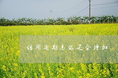 信用逾期怎么还会增加 信用逾期怎么还会增加