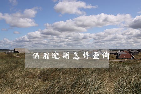 信用逾期怎样查询 信用逾期怎样查询