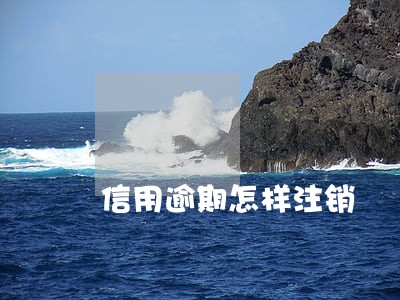 信用逾期怎样注销 信用逾期怎样注销