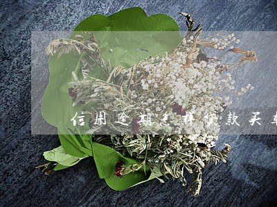 信用逾期怎样贷款买车最划算 信用逾期怎样贷款买车最划算