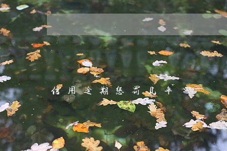 信用逾期惩罚几年 信用逾期惩罚几年