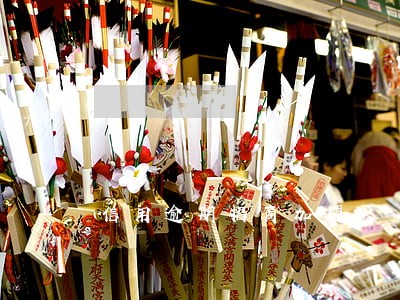 信用逾期招商加盟 信用逾期招商加盟