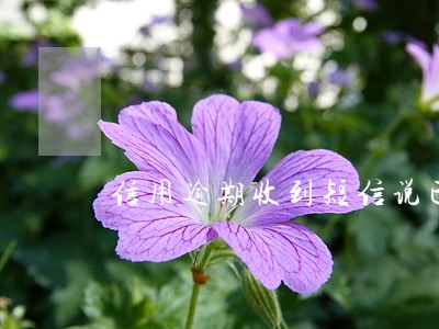 信用逾期收到短信说已判刑