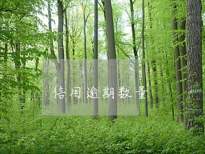 信用逾期数量 信用逾期数量