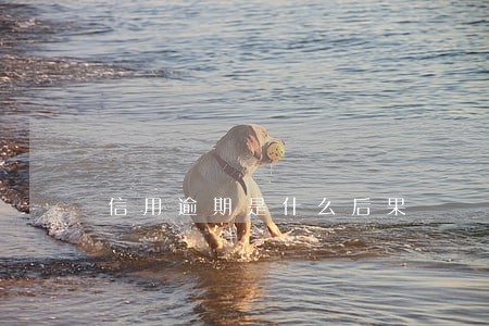 信用逾期是什么后果