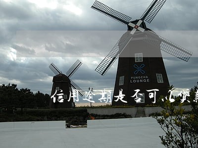 信用逾期是否可以贷款买车 信用逾期是否可以贷款买车