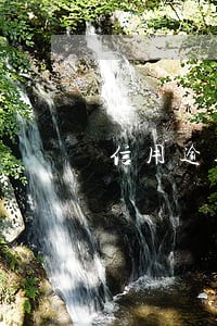 信用逾期是指那些 信用逾期是指那些