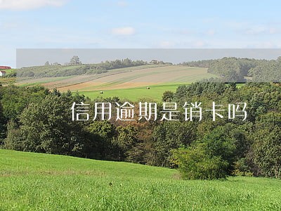 信用逾期是销卡吗 信用逾期是销卡吗