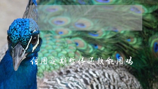 信用逾期暂停还款能用吗